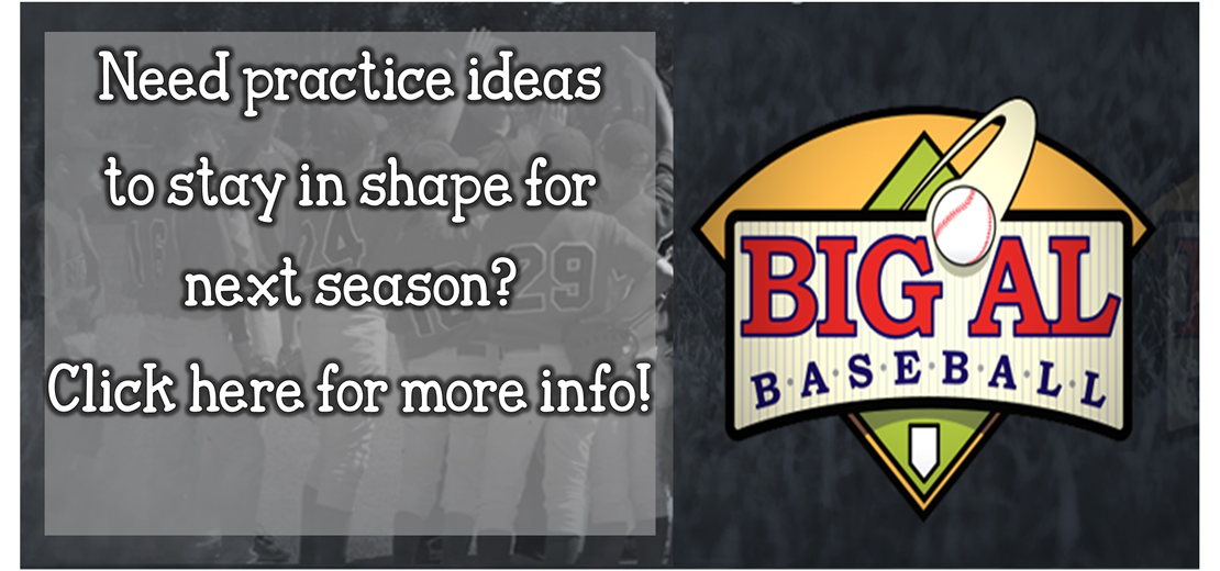 Big Al Baseball Training Ideas 